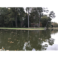 York/Poquoson King Tide image